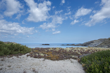 Fototapeta na wymiar Psammophile plant communities in Cape of Favaritx, municipality of Mahon, Menorca, Spain