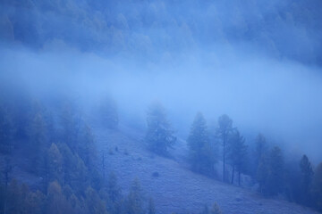 Obraz na płótnie Canvas autumn fog landscape forest mountains, trees view mist