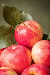 Close-up harvested red apples. Close-up of a heap of red apples