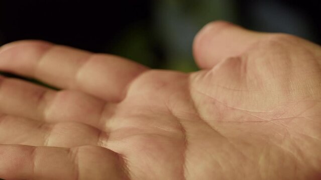 Hand skin close-up, palm and fingers, male human body part, arm surface macro shooting.