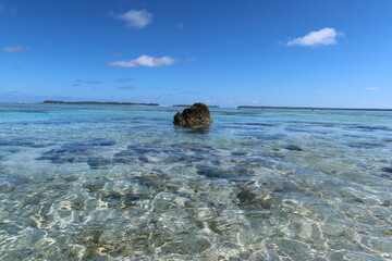 Beach with palms in  Tetiaroa a Tahitian island from French Polynesia 