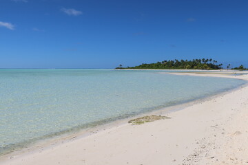 Fototapeta na wymiar beach with palms in a Tahitian island 
