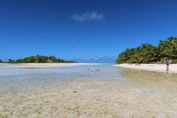 beach with palm trees in a Tahitian atoll