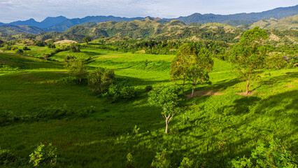 A view of a beautiful grass field in Indrapuri Aceh Besar, Aceh, Indonesia.