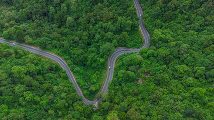 Road through green forest, aerial view road passing through forest in Aceh province, Indonesia	