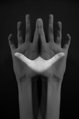 Fototapeta premium Refined and elegant hands of a dancer, dancing with body parts, black and white portrait of the performer's hands on a dark background