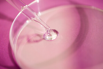 Dropper pipette with serum or cosmetic liquid and petri dish on purple background. Transparent container with liquid and bubbles. The appearance of the texture of the gel. Medicine and beauty concept.