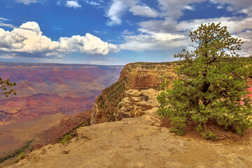 Grand Canyon Arizona USA