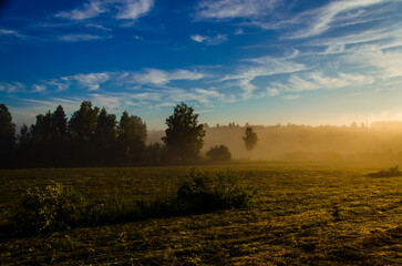 a thick morning fog covers the green juicy and freshly mown grass