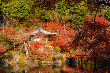 Fototapeta premium 京都市にある、醍醐寺の弁天堂周辺の紅葉