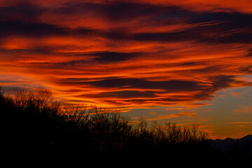 Sunset sky with clouds, colored red, in the foreground some trees without leaves, underexposed on purpose