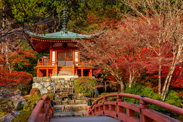京都の醍醐寺で見た、弁天堂にかかる橋周辺の紅葉