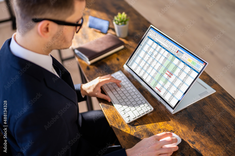 Aufkleber electronic spreadsheet analyst or auditor using software