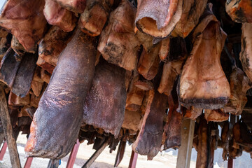 Hákarl - in einer Trockenhütte des Bjarnahöfn Shark Museum hängt das fermentierte Fleisch des...