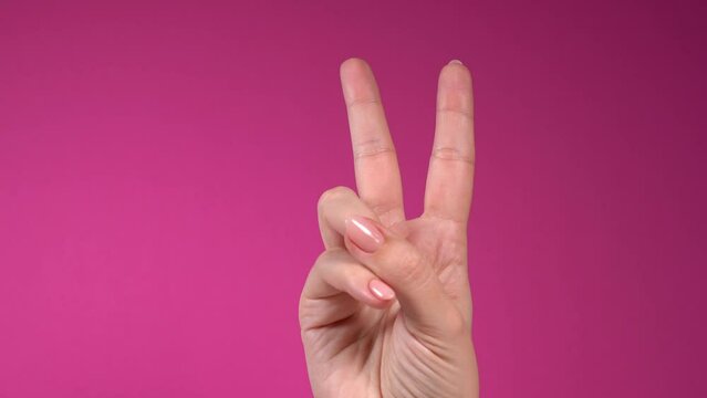 Closeup of isolated on pink adult female hand counting from 0 to 5. Woman shows fist first, then one, two, three, four, five fingers. Manicured nails painted with beautiful pink polish. Math concept