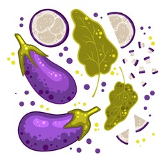 Eggplant and lobule set with leaves isolated