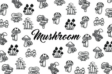 Set Mushroom healthy food engraved Hand Drawn Outline illustration