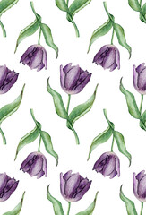 Purple tulip floral botanical flowers. Pattern. Watercolor illustration.