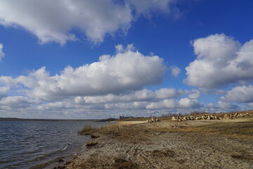 Momente am neuen See in Brandenburg