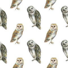 Watercolor seamless pattern with illustration of cute grey,orange owls