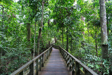 The Sepilok Orang Utan Rehabilitation Centre that located inside the beautiful forest at Sabah.