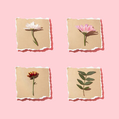 Spring creative layout with colorful flowers on beige torn paper and pastel pink background. 80s, 90s retro romantic aesthetic summer concept. Minimal cosmetic herb idea.