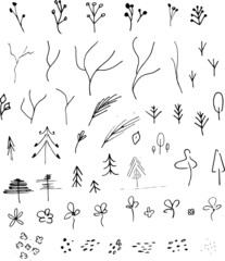 doodle hand drawn plants, flowers and twigs