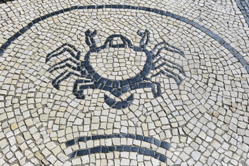 black and white basalt pavement representing a crab on a sidewalk in Aveiro, Portugal
