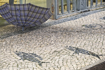 black and white basalt pavement representing a fish on a sidewalk in Aveiro, Portugal