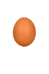 View on an egg on white background