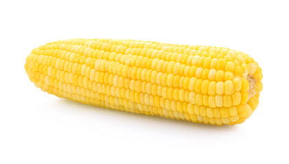 toasted corn on white background closeup