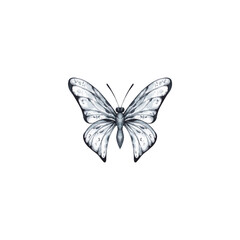 Watercolor butterfly of gray-blue color on a white background
