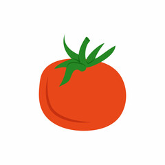 Tomato. Vector illustration. Fresh vegetables.