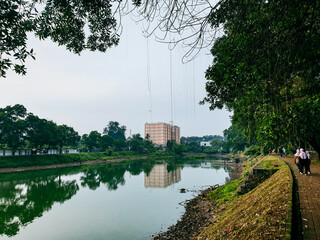 Beautiful view of the lake in the morning with of shady trees around it