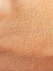 macro close up pores of young woman skin