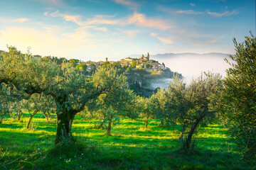 Trevi picturesque village and olive trees in a foggy morning. Perugia, Umbria, Italy. - obrazy, fototapety, plakaty