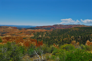 Obraz premium Bryce Canyon Utah USA