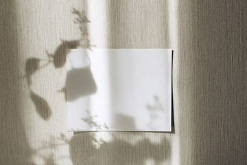 Card on wall with shadows from eucalyptus leaves. Minimal concept mock up background.