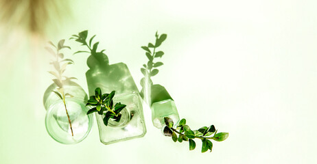 fresh plants in galss bottles on green background, silhouttes on plain background, gardening or plant care concept