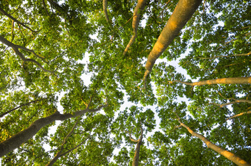 Fototapeta premium Keep calm and breathe.