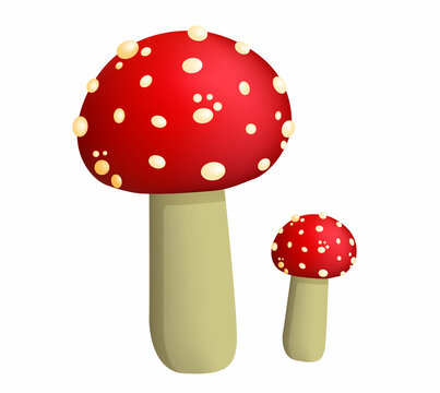 Fly agaric isolated on white background. Realistic mushroom render. Vector illustration