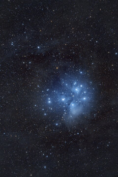 Pleiadi nella costellazione del Toro