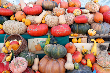 Food and gastronomy.