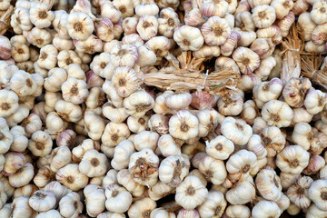 Food and gastronomy.