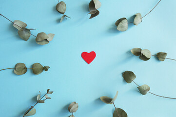 eucalyptus branches lie around a heart in a circle on a blue background