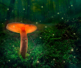Magical dark forest and glowing mushroom with fireflies after dusk