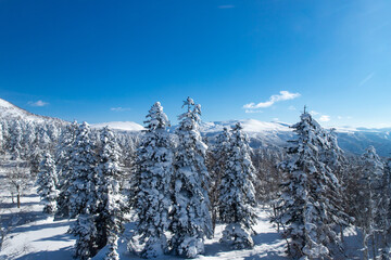 Fototapeta na wymiar 北海道　冬の大雪山旭岳の風景