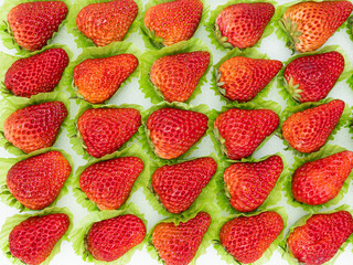 선물을 위한 신선한 딸기 포장