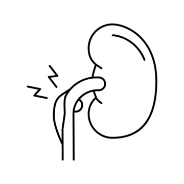 kidney pain black outline medical clip art preview