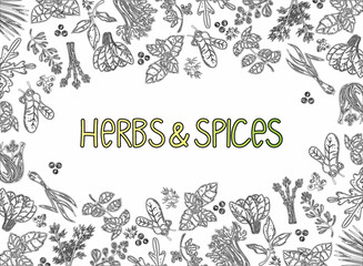 Packaging Layout. Herbs and spices, hand-drawn vector illustrations. Hand-drawn food sketch. Silhouettes of aromatic plants. Postcard design. Sketch style.